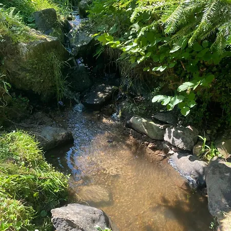 Maison Confortable A Muhlbach-sur-bruche, Terrain De 6000 M². 別荘 *