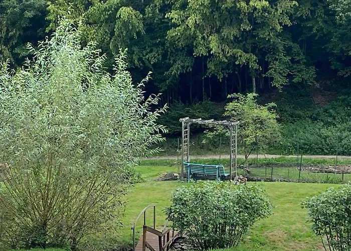 Tatil Evi Maison Confortable A Muhlbach-sur-bruche, Terrain De 6000 M². Muhlbach-sur-Bruche