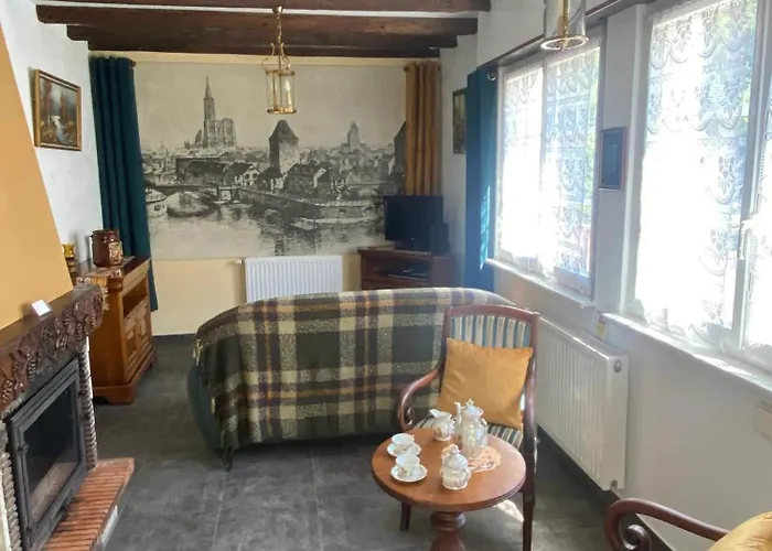 Tatil Evi Maison Confortable A Muhlbach-sur-bruche, Terrain De 6000 M².