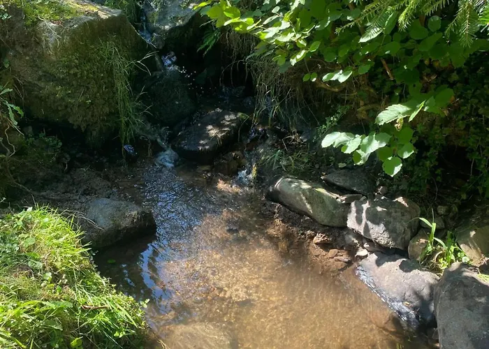 Maison Confortable A Muhlbach-sur-bruche, Terrain De 6000 M². Tatil Evi *